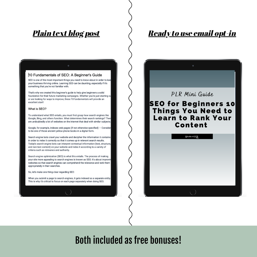 SEO for Beginners 10 Things You Need to Learn to Rank Your Content (2487 words)