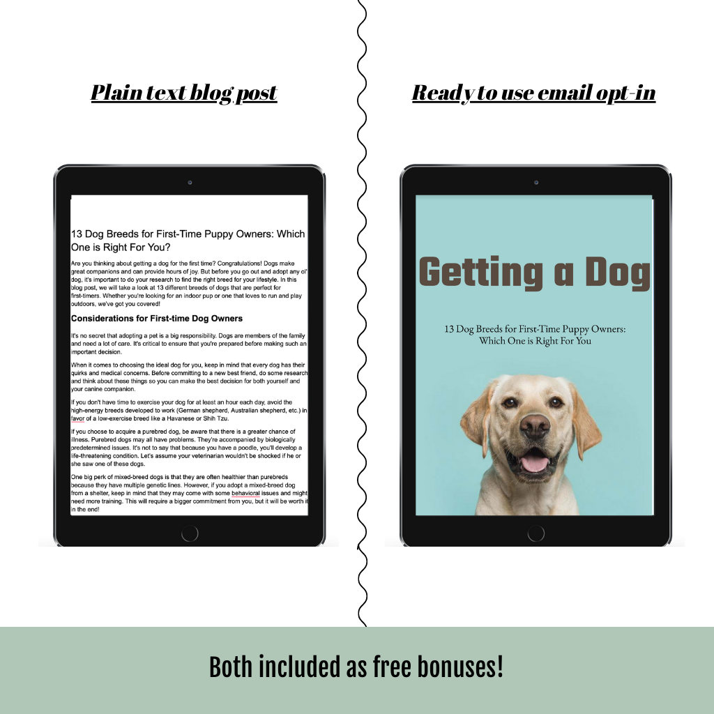 13 Dog Breeds for First Time Puppy Owners: Which One is Right For You? (1803 words)
