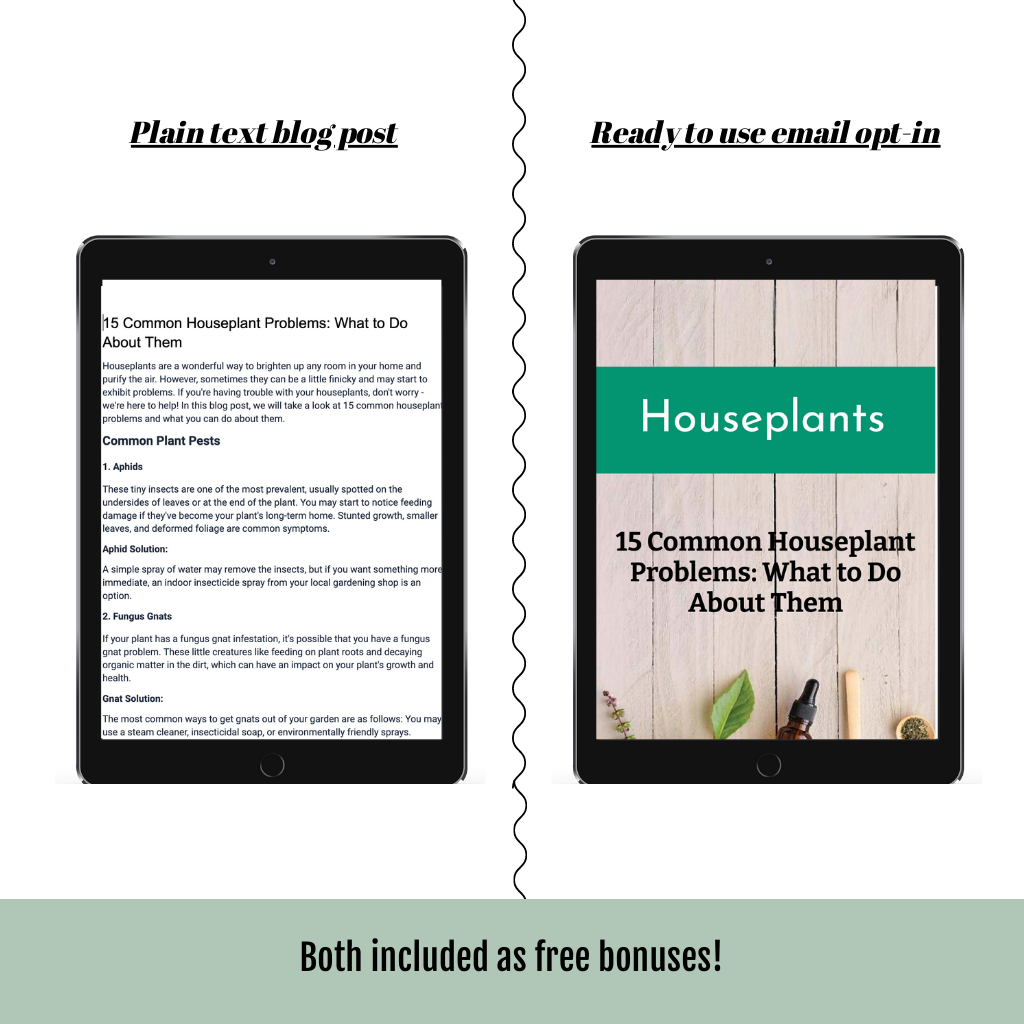 15 Common Houseplant Problems: What to Do About Them (1632 words)