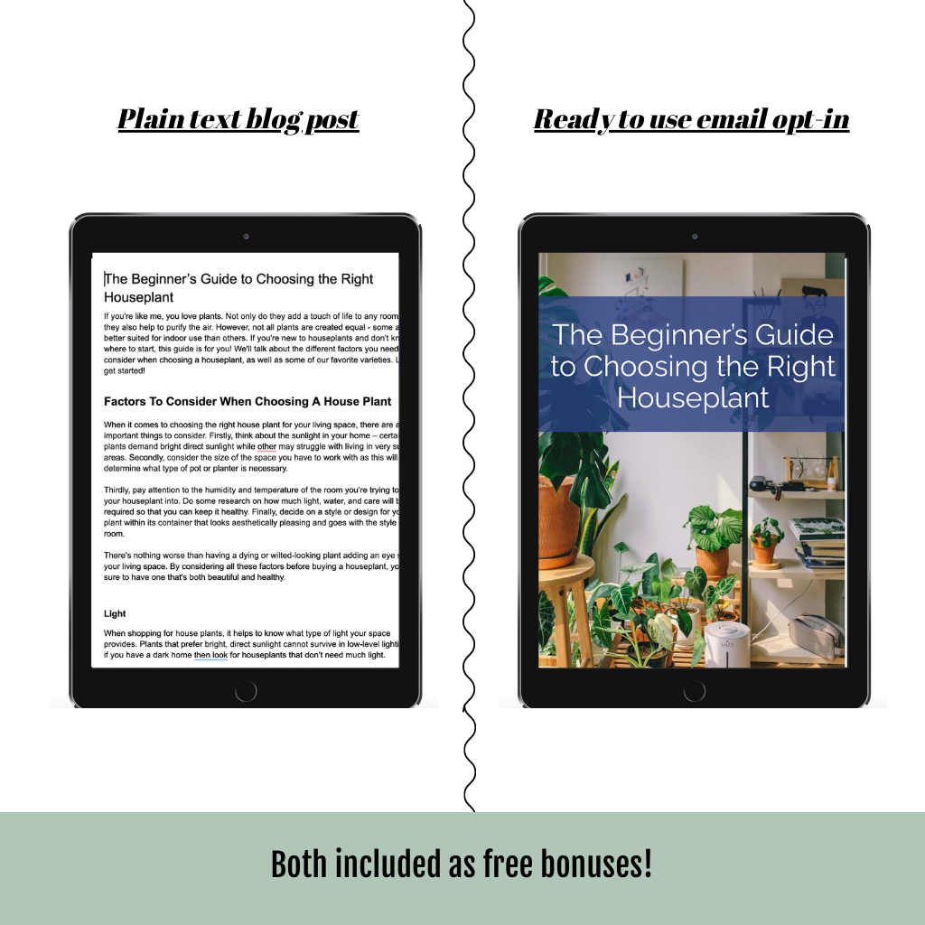 The Beginner’s Guide to Choosing the Right Houseplant (1996 words)