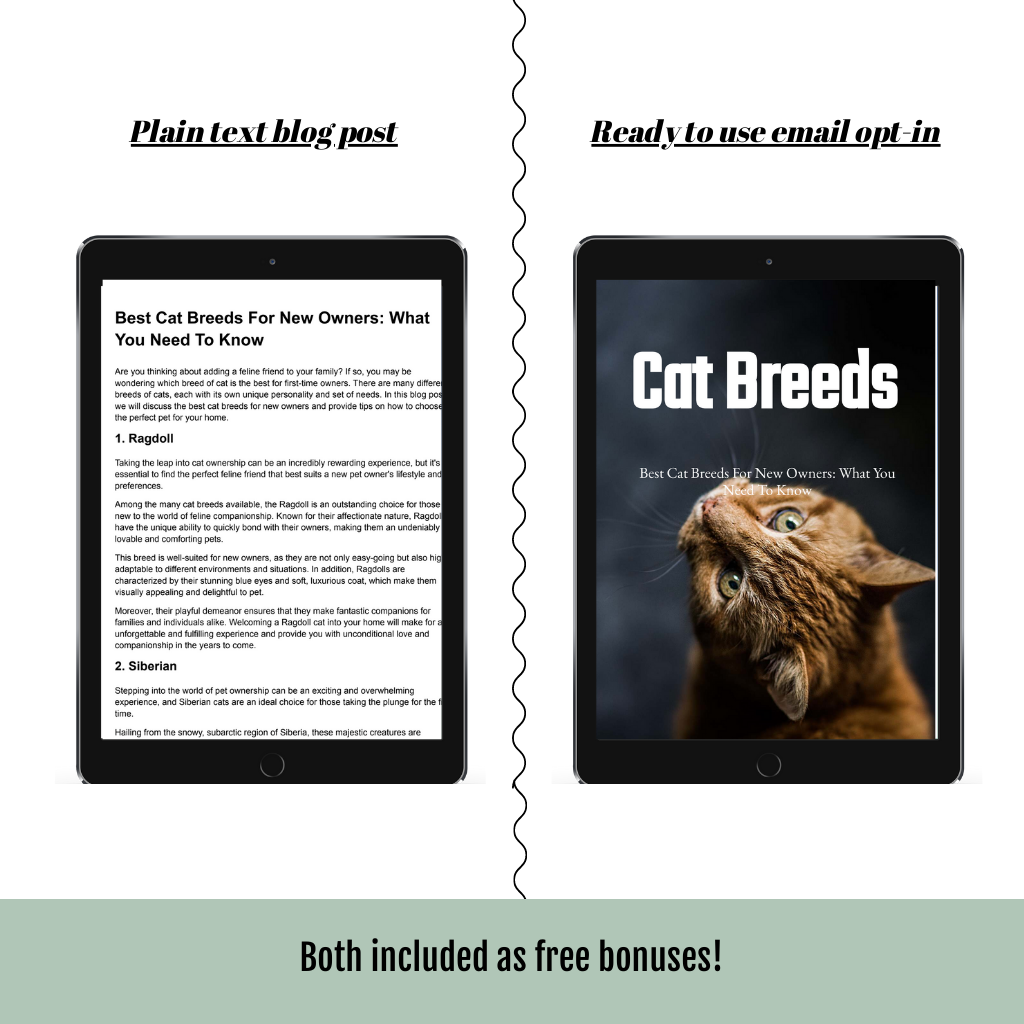 Getting Your First Cat PLR Content Pack - Blackbird PLR Content